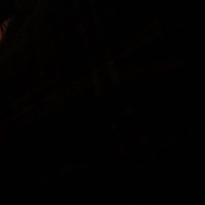 Meet your Posher, Dante